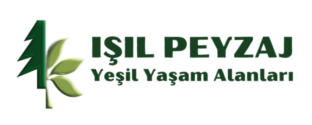 IŞIL PEYZAJ